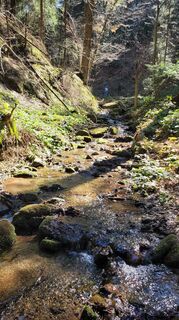 Fotografija s spletne strani Juliane Jarke na poti