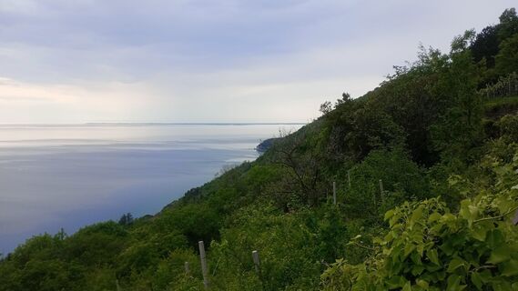 Fotografija s spletne strani Michele Zollia na poti