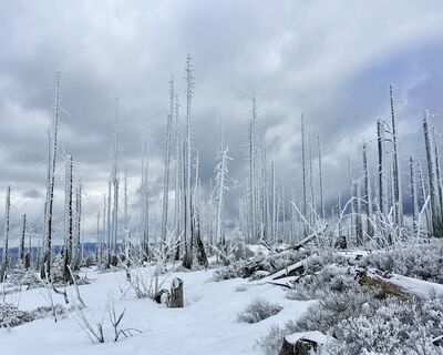 Fotografija s spletne strani Natur_erleben_dg na poti