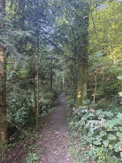 Photo de Nico ?️ le long du parcours