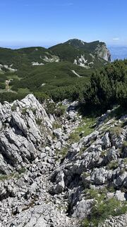 Zdjęcie z Mountain Cat ? ⛰️ wzdłuż trasy