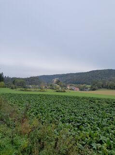 Photo de Mike Lamparter le long du parcours