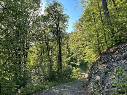 Waldweg, Goßarweag