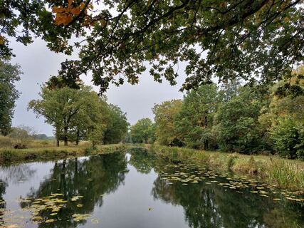 Foto von wandelstef entlang der Tour