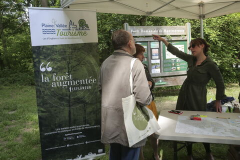 Startseite - Der erweiterte Wald