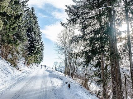 erlbergweg_img_72965195