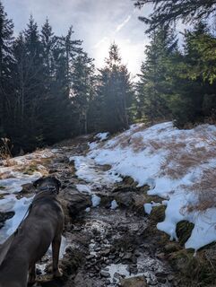 Foto von Stubi entlang der Tour