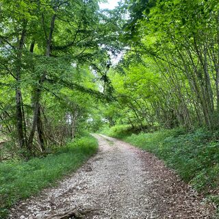 Wanderweg: Der Berg von Saint-Benoit_Groslée-Saint-Benoit
