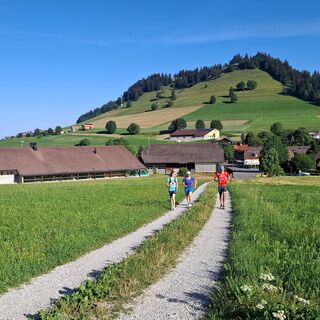 Blick nach Riffenmatt zurück - Riffenmatt-Pfyffe Trailrun