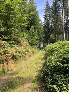 Foto von Harald Mang entlang der Tour