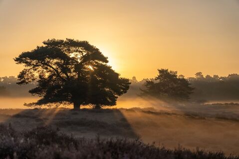 haltern-am-see-naturschutzgebiet-westruper-heide-04