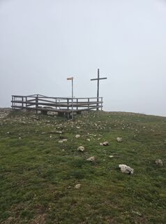 Zdjęcie z Jwemmenhove wzdłuż trasy