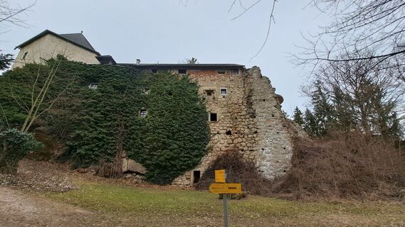 Foto fra Anita Lunzer 1 undervejs på turen