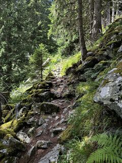 Fotografija s spletne strani Marita na poti