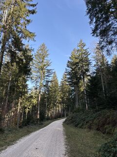 Foto von Heinz Sperl entlang der Tour