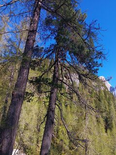Foto von Uwe Kronen entlang der Tour