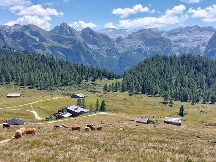 Foto de Hans Wimmer a lo largo del recorrido