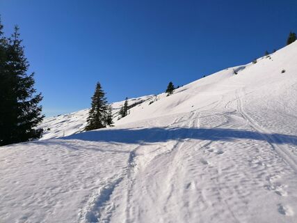 Foto von luyyy entlang der Tour