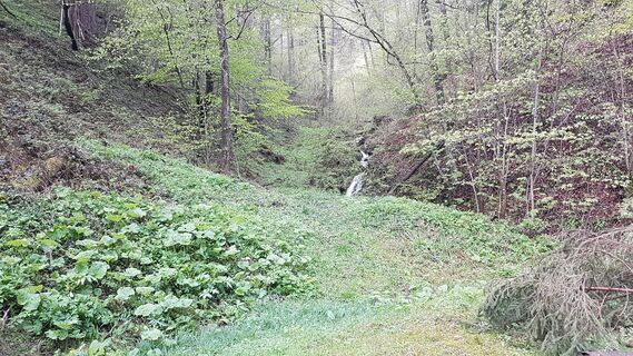 Wildbach bei Hausmann