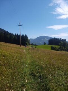 Fotografia z Kessy na trase