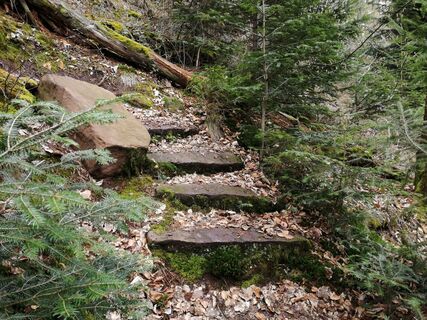 Treppauf entlang des Uhlandshöhe-Trails