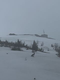 Foto von Schabsi entlang der Tour