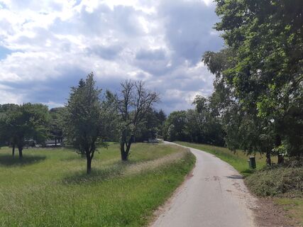 Fotografia z mmecki na trase