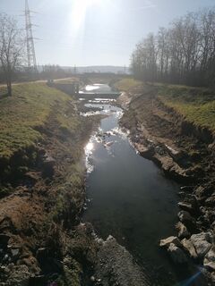 Fotografia z Dragoljub Ilic na trase