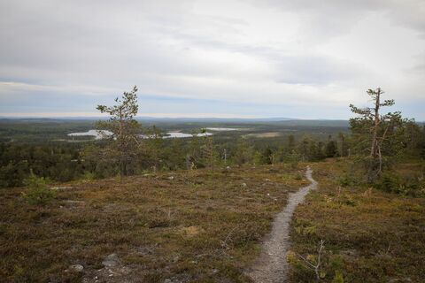 Der Juhannuskallio-Trail in Ruka, Kuusamo
