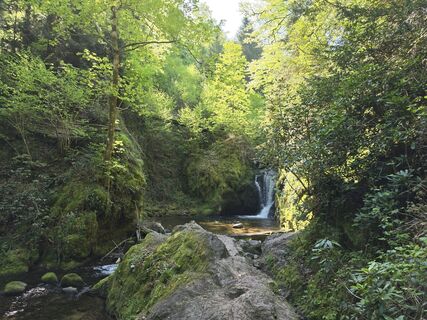 Fotografija s spletne strani Michel Kennel na poti