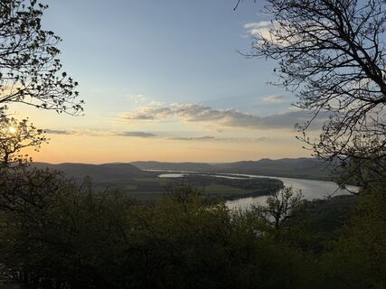 Fotografia z Németh Dominik na trase