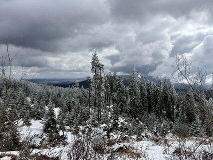 Fotografija s spletne strani Natur_erleben_dg na poti