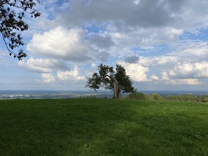 Fotografie z Sven Krieblin na trase