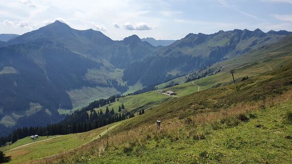 Fotografie de la Gerrit van der Linde de-a lungul turului