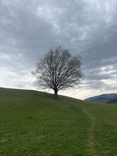 Fotografia z Stefan Rohringer na trase