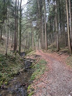 Foto von Roland Schwab entlang der Tour
