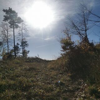 Fotografia z Viliam Beresik na trase