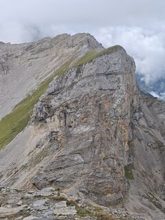 Fotografia z Niko na trase