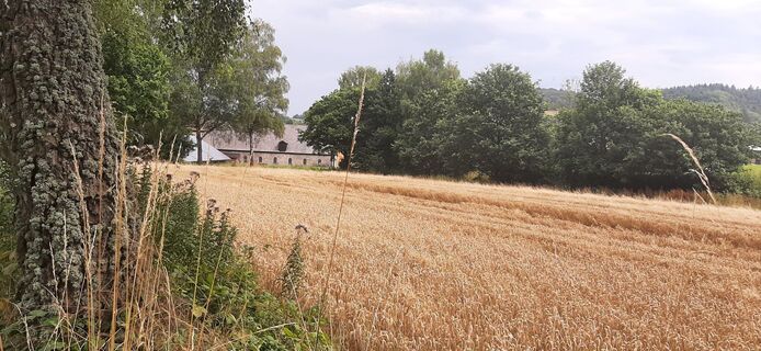 Foto de Georg Meisterjahn a lo largo del recorrido