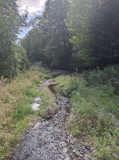 Photo de Ortner Petra le long du parcours