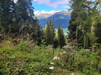 Foto von mmecki entlang der Tour