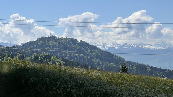 Fotografia z Pezzotta na trase