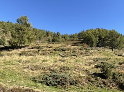 Photo de Gerald Kleber le long du parcours