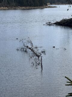 Photo de Ronald Bartel le long du parcours