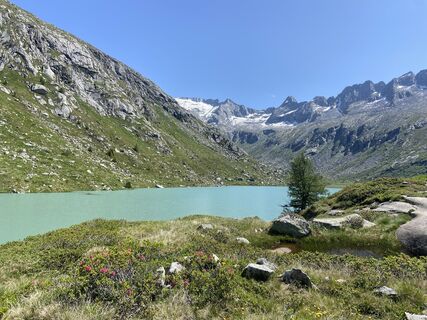 Photo de Michel SC le long du parcours
