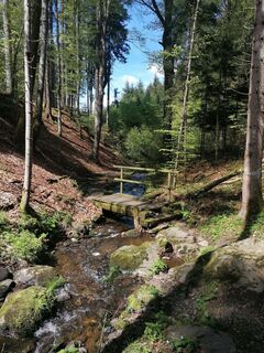 Fotografie z Dagmar Hofer na trase
