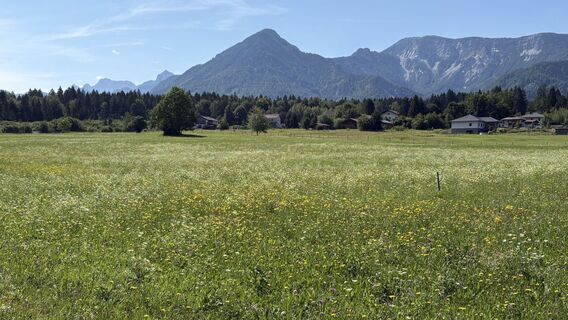Foto von Renate Berthold entlang der Tour