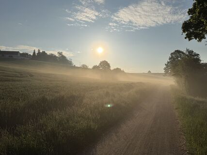 Foto von Schaali entlang der Tour