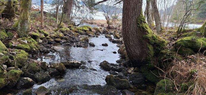 Zdjęcie z Deutsch Margit wzdłuż trasy