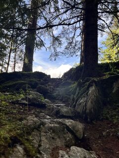 Foto von F A 4 entlang der Tour